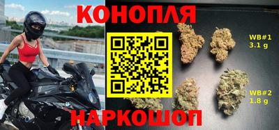 альфа пвп Заводоуковск