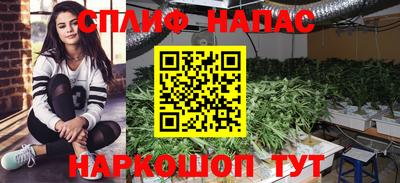 тгк Жуковский